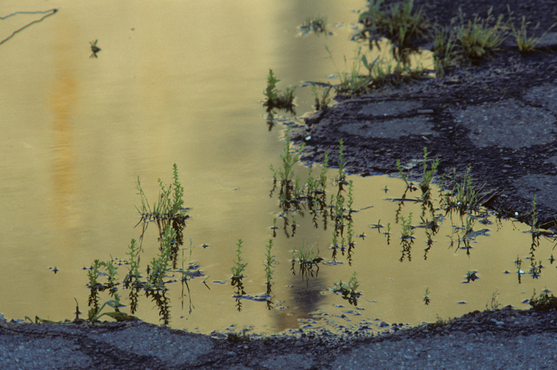 water feature