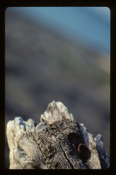 lake erie three