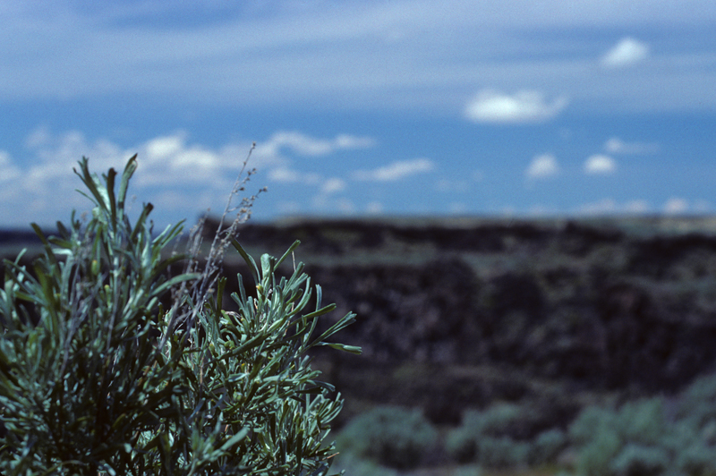 scenic overlook one