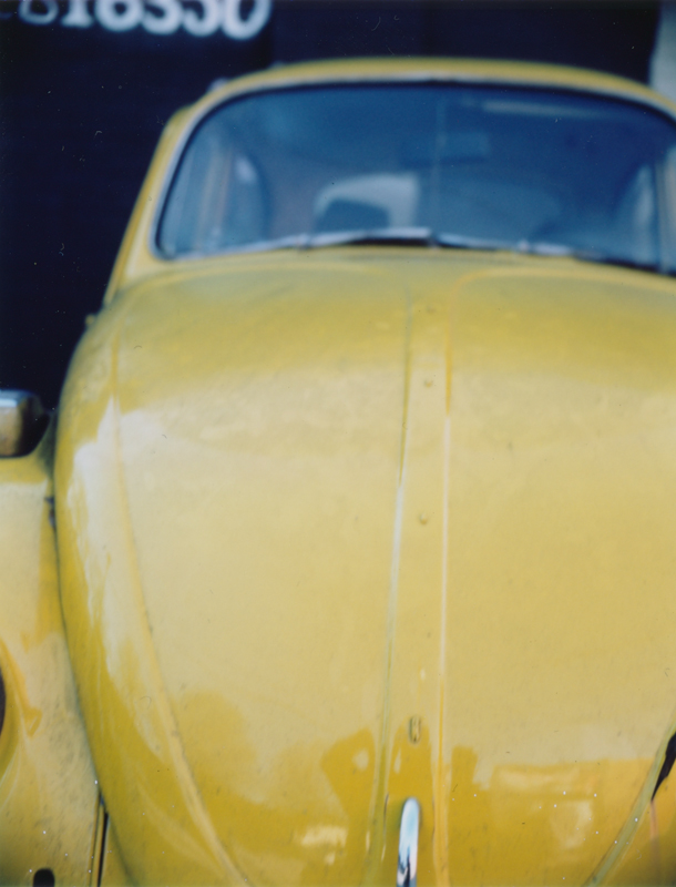 yellow bug one