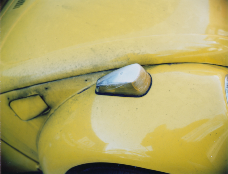 yellow bug three