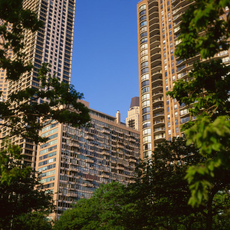 trees and buildings one