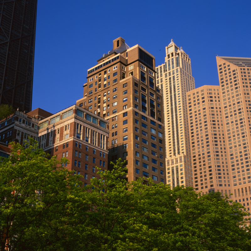 trees and buildings two