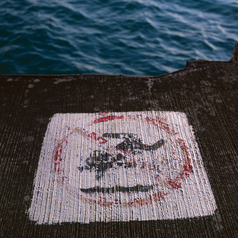 no diving