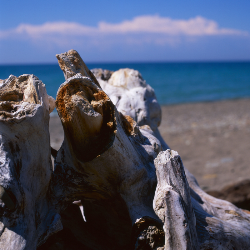 driftwood four