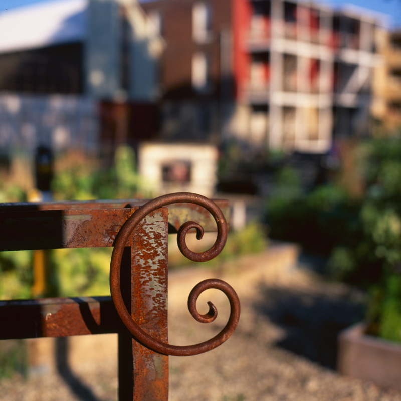 community garden one