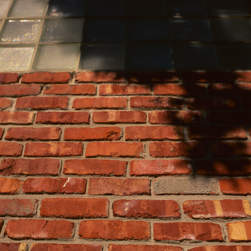 trees and bricks and blocks
