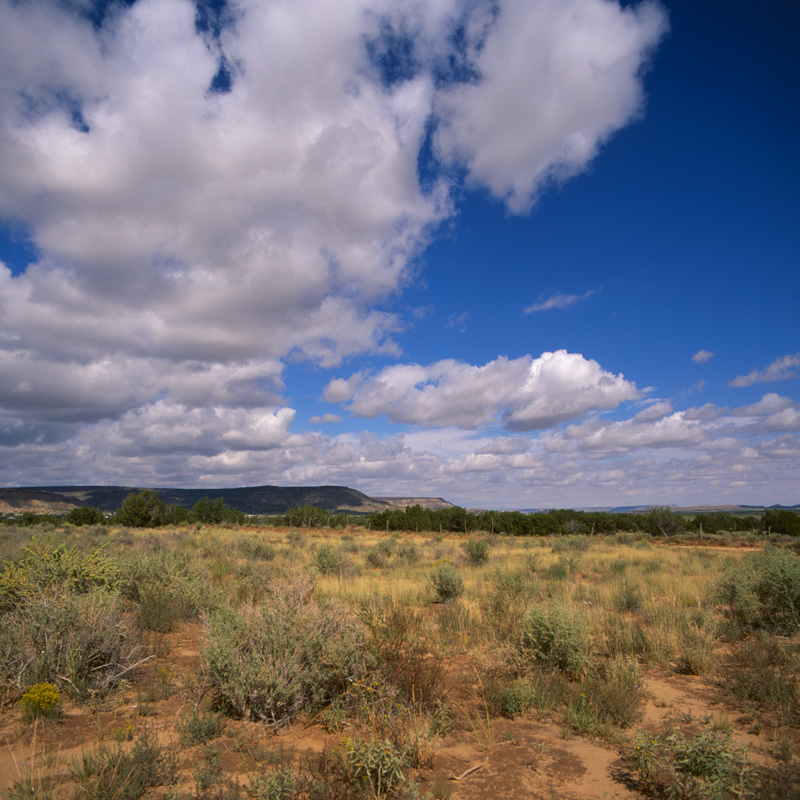 wide open skies one