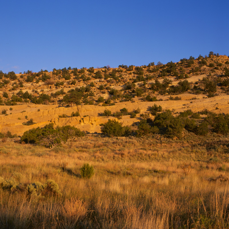 badlands eleven