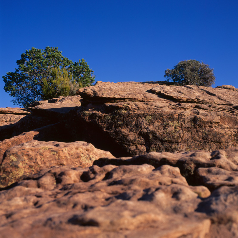 spider rock three