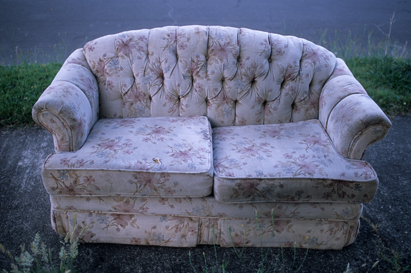 gently used sofa