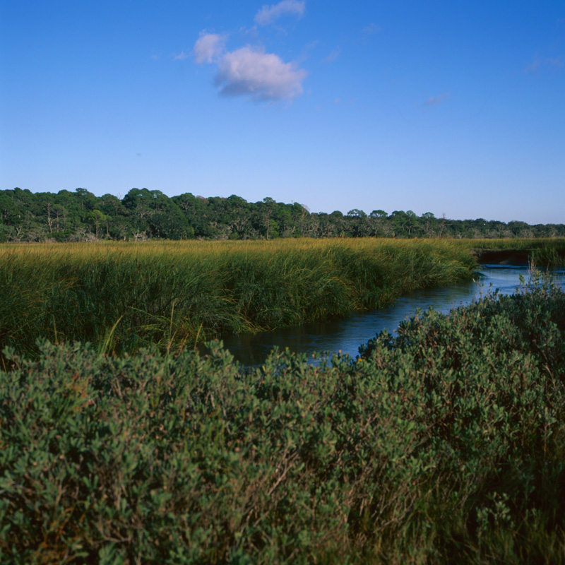 on the marsh three