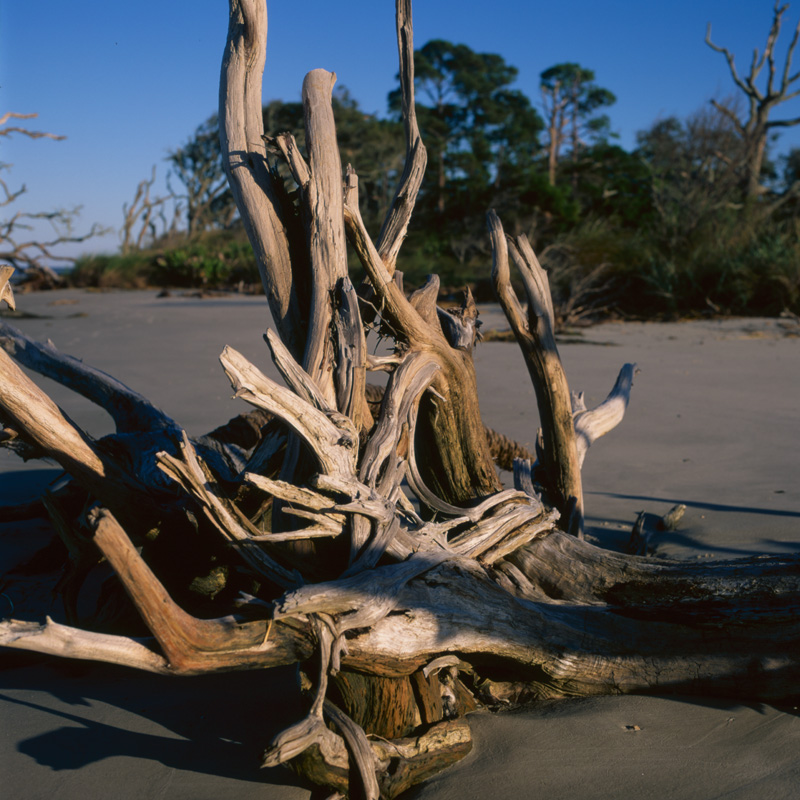 on the beach twenty