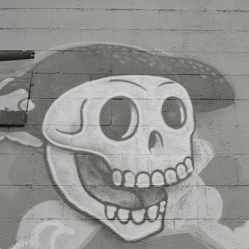 skulls on a wall three