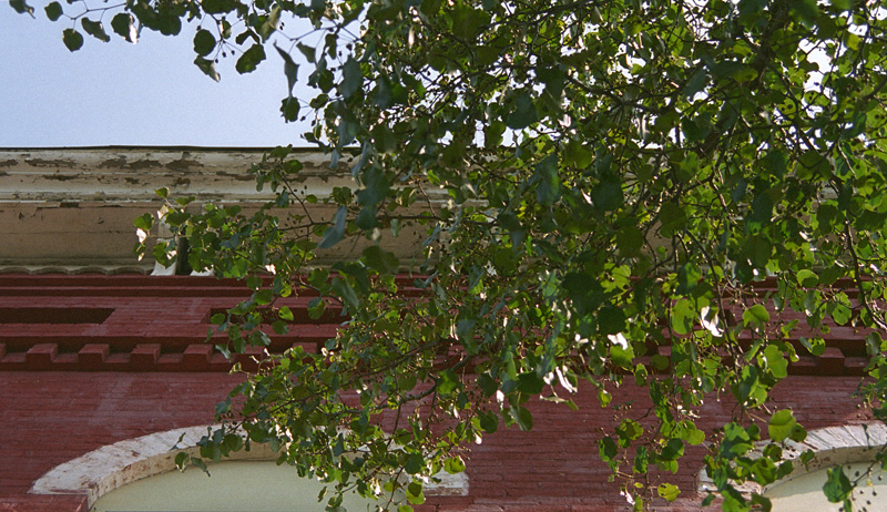 bricks versus leaves