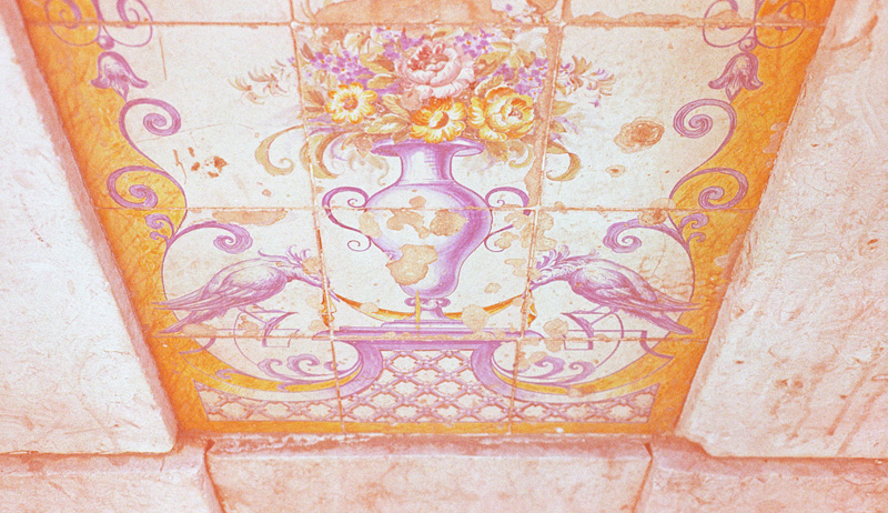 azulejo um