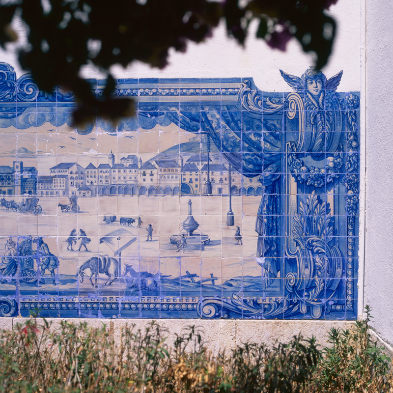 azulejo dez