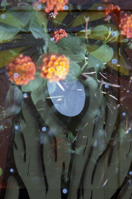 shaman and flowers