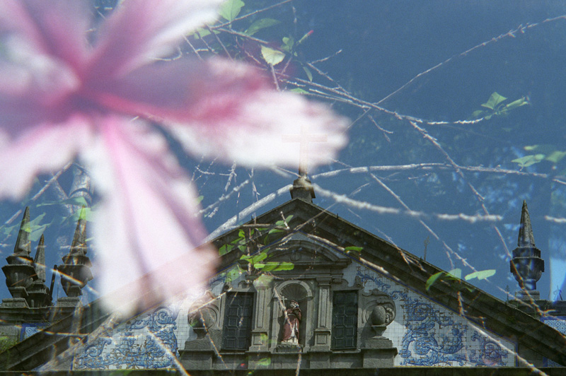 igreja de santo antónio dos congregados and a flower