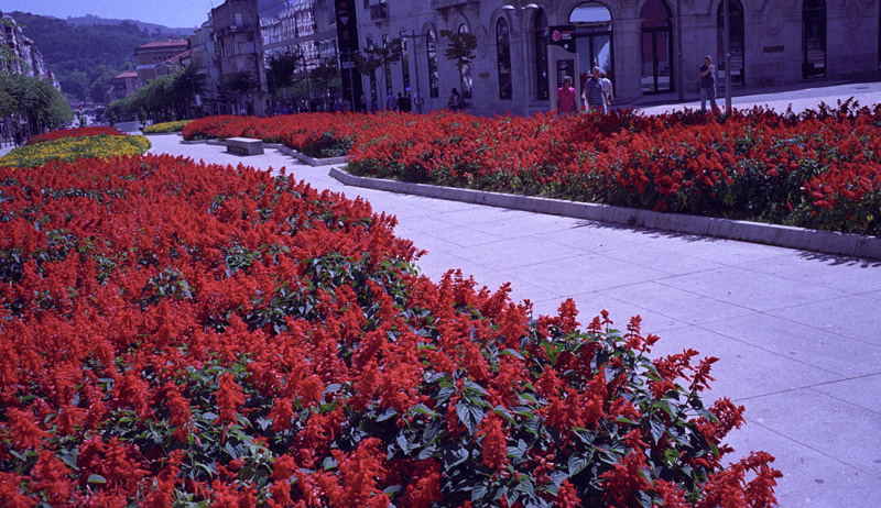 civic decoration