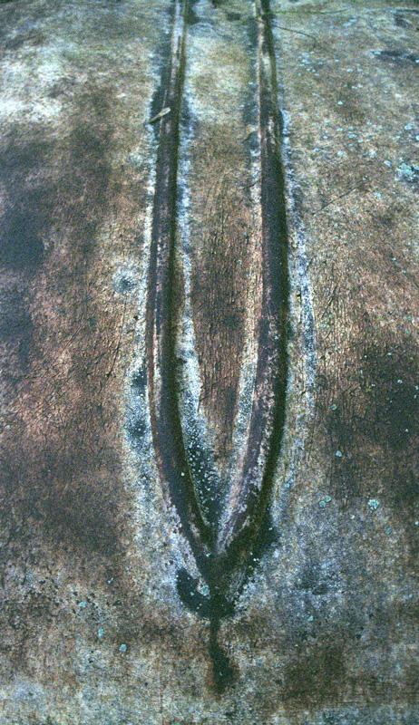 decaying bonnet