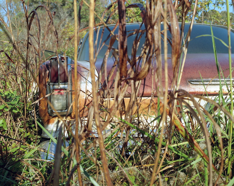 resting and overgrown