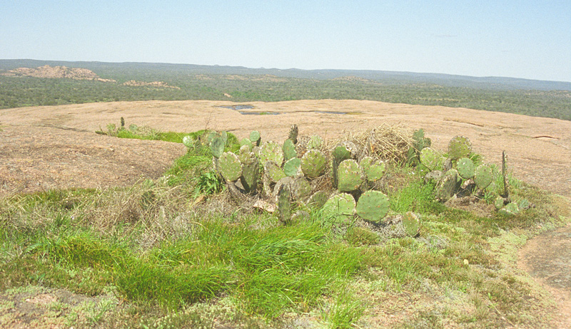 amazing hill country view one