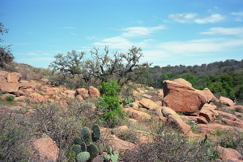 a slightly different rock in the wilderness