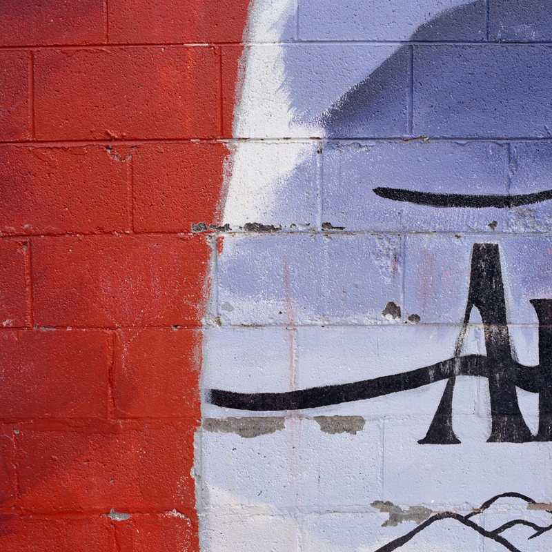 decorated concrete masonry units