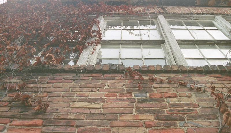ivy league