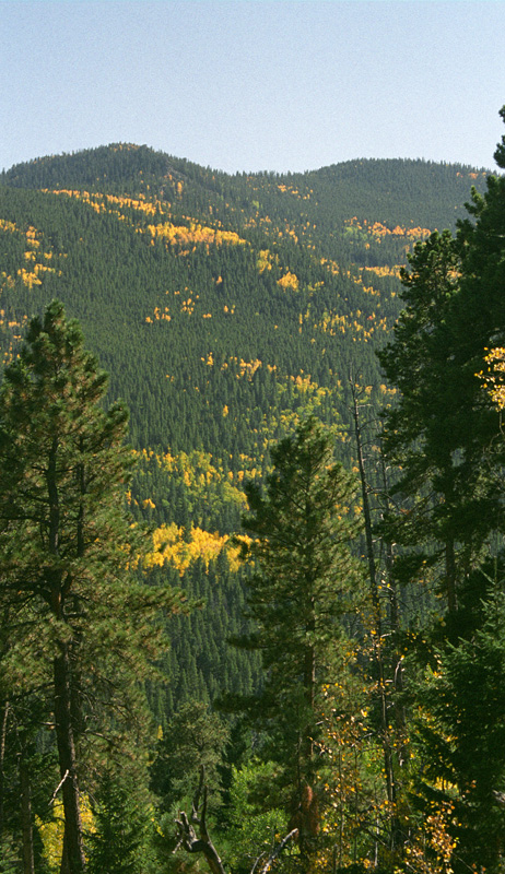 aspens three