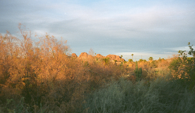 along a long walk one