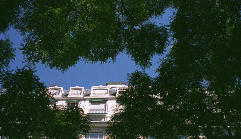 partially obscured typical building