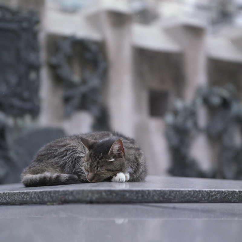 sleeping on a tomb