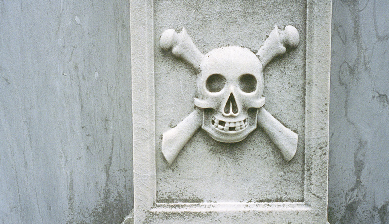 decorative skull