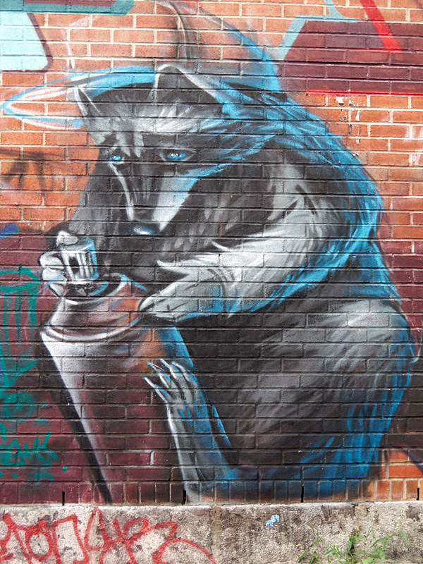 artistic raccoon