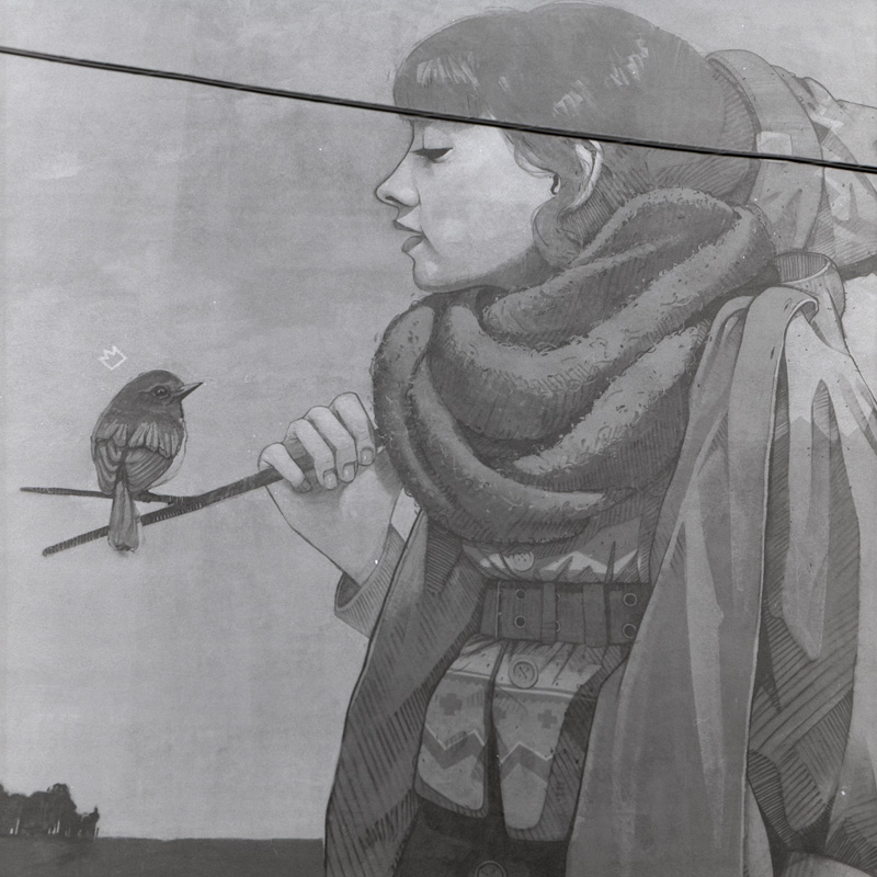 woman with bird