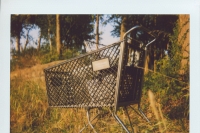 lost shopping cart