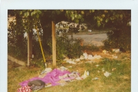 bum nest two