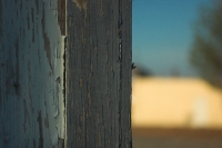 love shack three