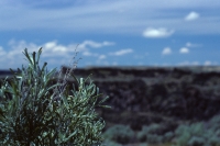 scenic overlook one