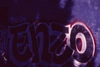enzo one