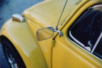 yellow bug two