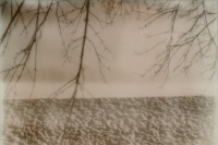 concrete versus branches