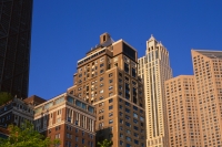 trees and buildings two