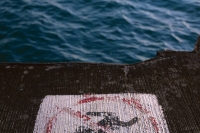 no diving