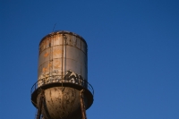 cotton ginning one