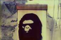 ape telecommunications