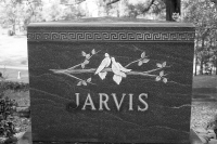 jarvis