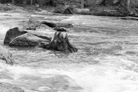 across the rapids